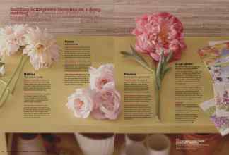 Better Homes & Gardens January 2014 Magazine Article: Page 44