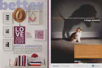 Better Homes & Gardens January 2014 Magazine Article: Page 82