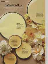 Better Homes & Gardens February 2014 Magazine Article: Daffodil Yellow