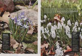 Better Homes & Gardens February 2014 Magazine Article: Page 48