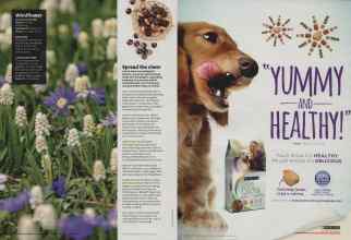 Better Homes & Gardens February 2014 Magazine Article: Page 50