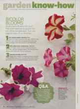 Better Homes & Gardens March 2014 Magazine Article: BICOLOR BLOOMS