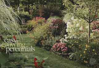 Better Homes & Gardens March 2014 Magazine Article: Easy-growing perennials