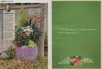 Better Homes & Gardens March 2014 Magazine Article: Page 68