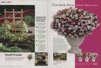 Better Homes & Gardens March 2014 Magazine Article: Page 78
