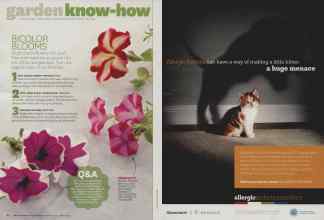 Better Homes & Gardens March 2014 Magazine Article: Page 82