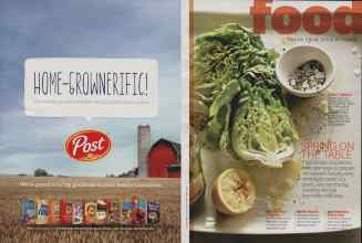 Better Homes & Gardens March 2014 Magazine Article: Page 98