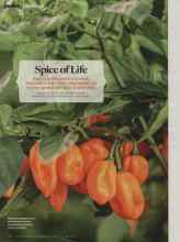 Better Homes & Gardens April 2014 Magazine Article: Spice of Life