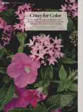 Better Homes & Gardens April 2014 Magazine Article: Crazy for Color