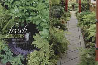 Better Homes & Gardens April 2014 Magazine Article: Fresh greens