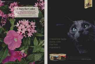 Better Homes & Gardens April 2014 Magazine Article: Page 90