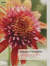 Better Homes & Gardens May 2014 Magazine Article: Summer Fireworks