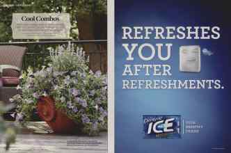 Better Homes & Gardens May 2014 Magazine Article: Page 98