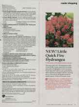 Better Homes & Gardens June 2014 Magazine Article: NEW! Little Quick Fire Hydrangea