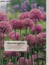 Better Homes & Gardens June 2014 Magazine Article: Showstoppers