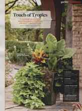 Better Homes & Gardens June 2014 Magazine Article: Touch of Tropics