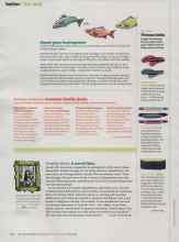 Better Homes & Gardens June 2014 Magazine Article: Fitness belts