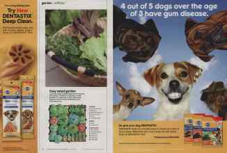 Better Homes & Gardens June 2014 Magazine Article: Page 92