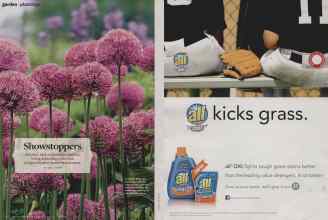 Better Homes & Gardens June 2014 Magazine Article: Page 94