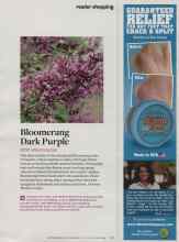 Better Homes & Gardens July 2014 Magazine Article: Bloomerang Dark Purple