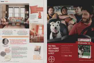 Better Homes & Gardens July 2014 Magazine Article: Page 36