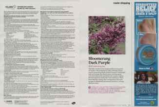 Better Homes & Gardens July 2014 Magazine Article: Page 68