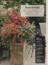 Better Homes & Gardens August 2014 Magazine Article: Pots of Bold