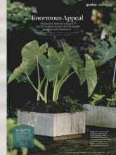 Better Homes & Gardens August 2014 Magazine Article: Enormous Appeal