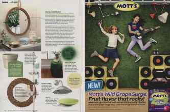 Better Homes & Gardens August 2014 Magazine Article: Page 44