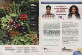Better Homes & Gardens August 2014 Magazine Article: Page 98