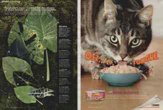 Better Homes & Gardens August 2014 Magazine Article: Page 102