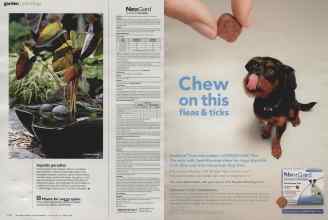 Better Homes & Gardens August 2014 Magazine Article: Page 106