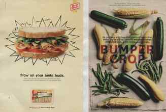 Better Homes & Gardens August 2014 Magazine Article: Page 128