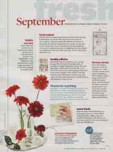 Better Homes & Gardens September 2014 Magazine Article: Cool school