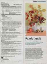 Better Homes & Gardens September 2014 Magazine Article: Razzle Dazzle