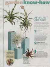 Better Homes & Gardens September 2014 Magazine Article: AIR PLANT ARTISTRY