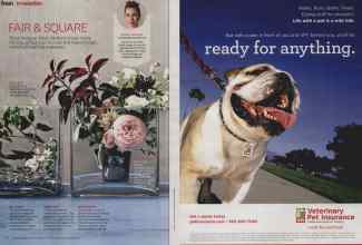 Better Homes & Gardens September 2014 Magazine Article: Page 18