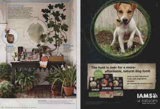 Better Homes & Gardens September 2014 Magazine Article: Page 90