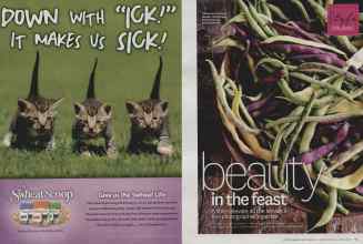 Better Homes & Gardens September 2014 Magazine Article: Page 94