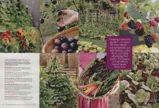 Better Homes & Gardens September 2014 Magazine Article: Page 98