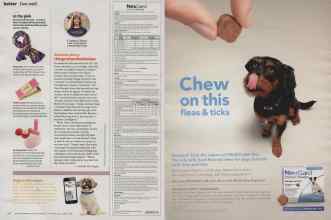 Better Homes & Gardens October 2014 Magazine Article: Page 148