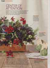 Better Homes & Gardens November 2014 Magazine Article: CENTER OF ATTENTION