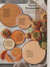 Better Homes & Gardens November 2014 Magazine Article: Pretty Persimmon