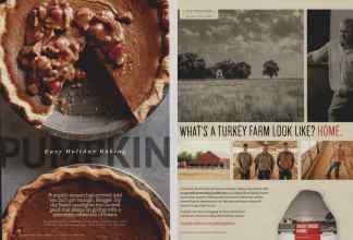 Better Homes & Gardens November 2014 Magazine Article: Page 124