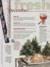 Better Homes & Gardens December 2014 Magazine Article: December MOMENTS TO MAKE AND THINGS TO DO
