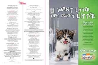 Better Homes & Gardens January 2015 Magazine Article: Page 4