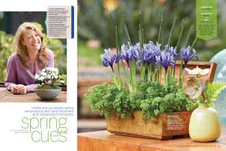 Better Homes & Gardens January 2015 Magazine Article: Spring cues