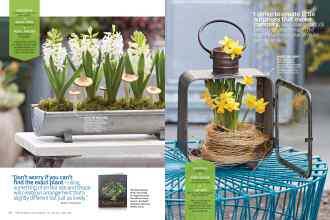 Better Homes & Gardens January 2015 Magazine Article: Page 56