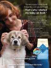 Better Homes & Gardens February 2015 Magazine Article: Page 130