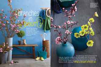 Better Homes & Gardens February 2015 Magazine Article: Branches in bloom